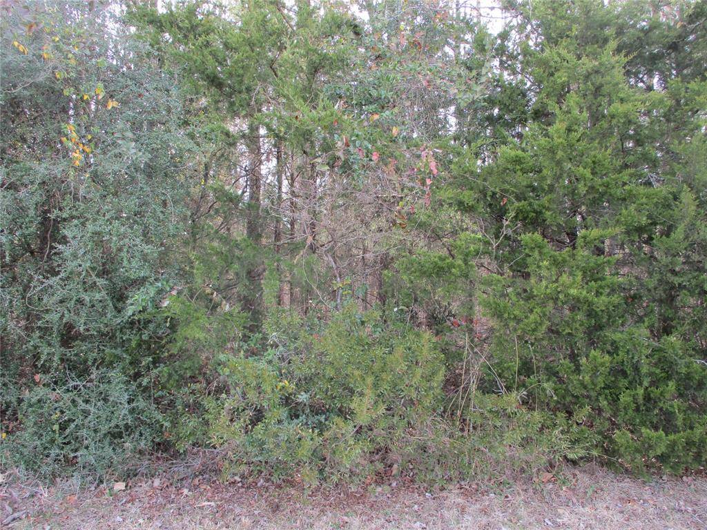 TBD Wood County Road 2958, Alba, TX 75410