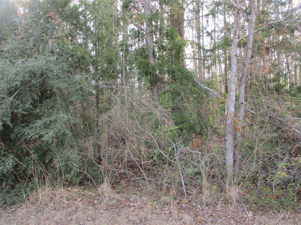 TBD Wood County Road 2958, Alba, TX 75410