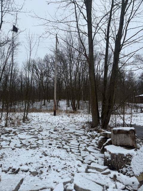 0 Williams RD, Argentine Township, MI 48436