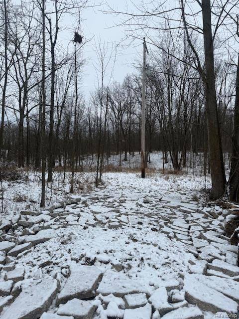 0 Williams RD, Argentine Township, MI 48436