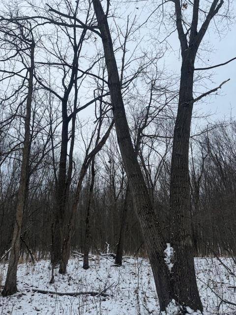 0 Williams RD, Argentine Township, MI 48436