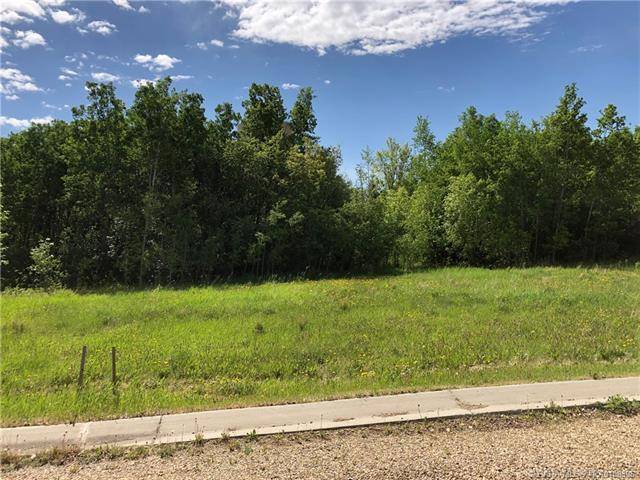 Lot 4 44 Avenue Close, Alix, AB T0C 0B0