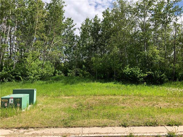 Lot 8 44 Avenue Close, Alix, AB T0C 0B0