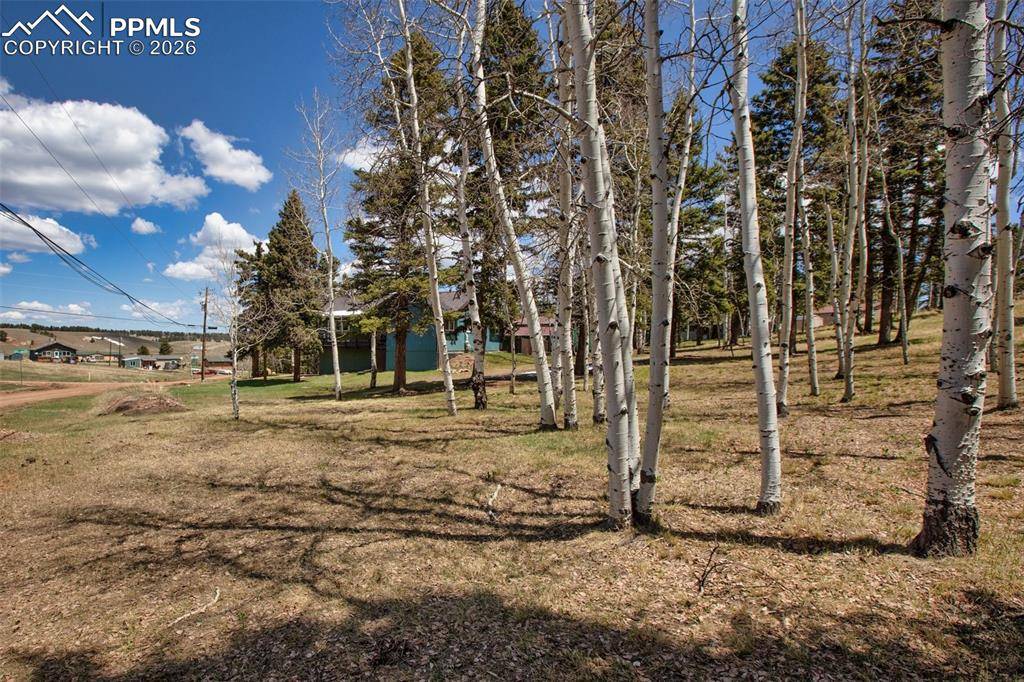571 Will Scarlet DR, Divide, CO 80814