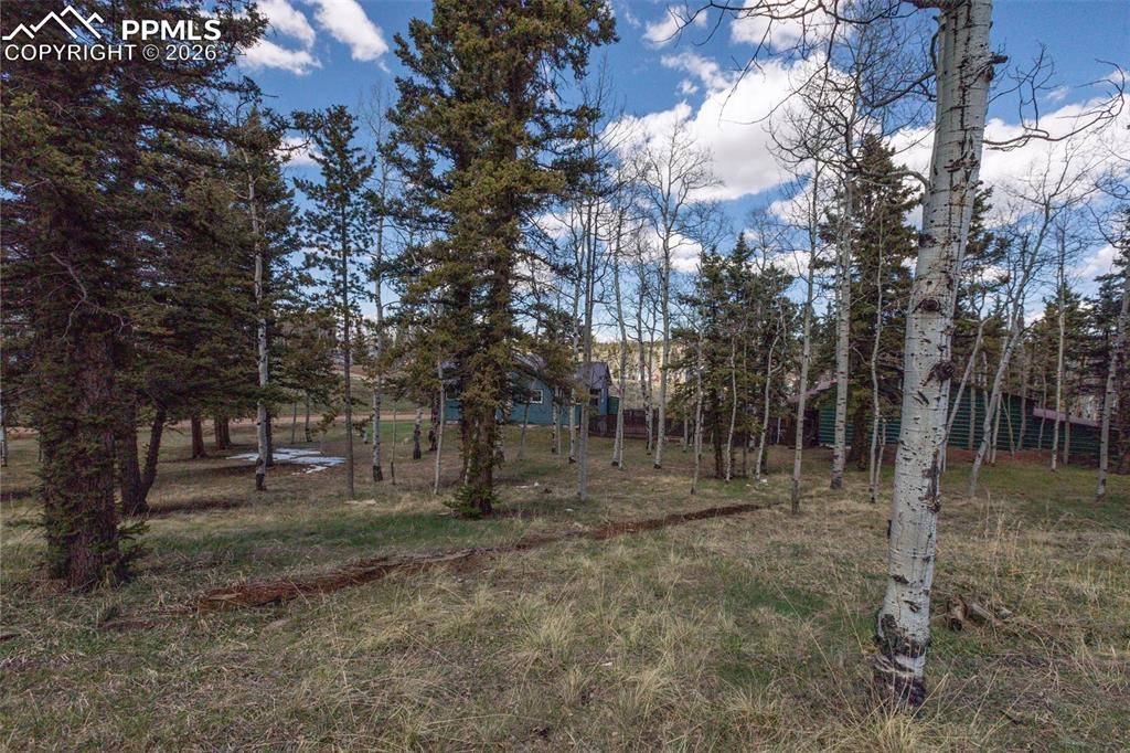 571 Will Scarlet DR, Divide, CO 80814