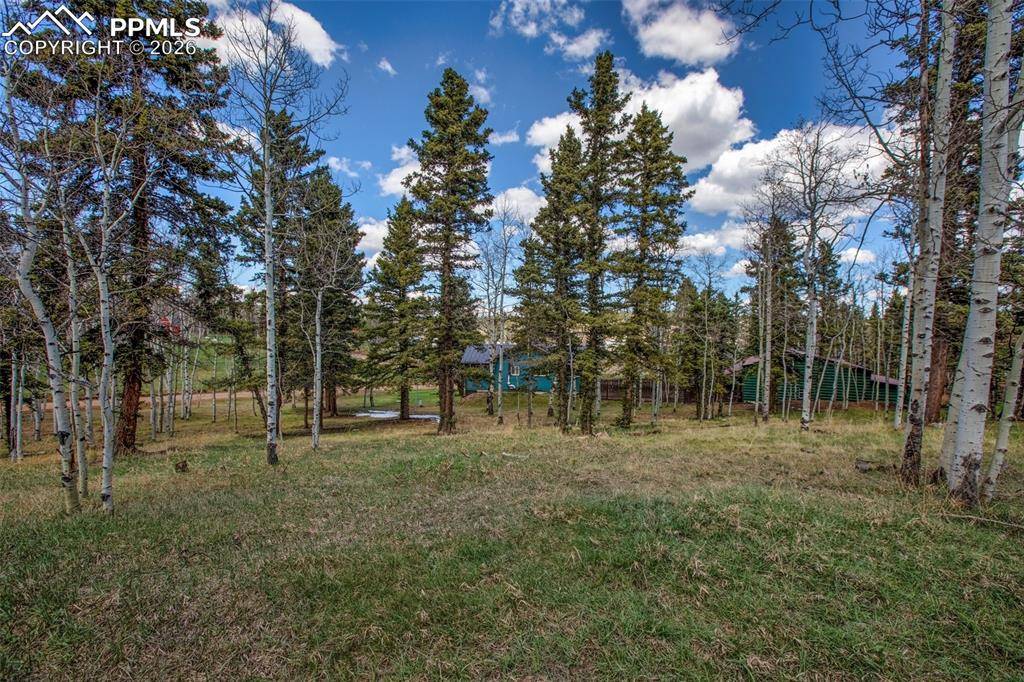 571 Will Scarlet DR, Divide, CO 80814