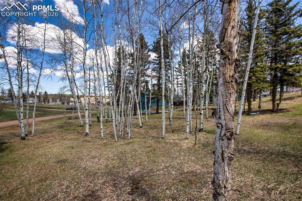 571 Will Scarlet DR, Divide, CO 80814