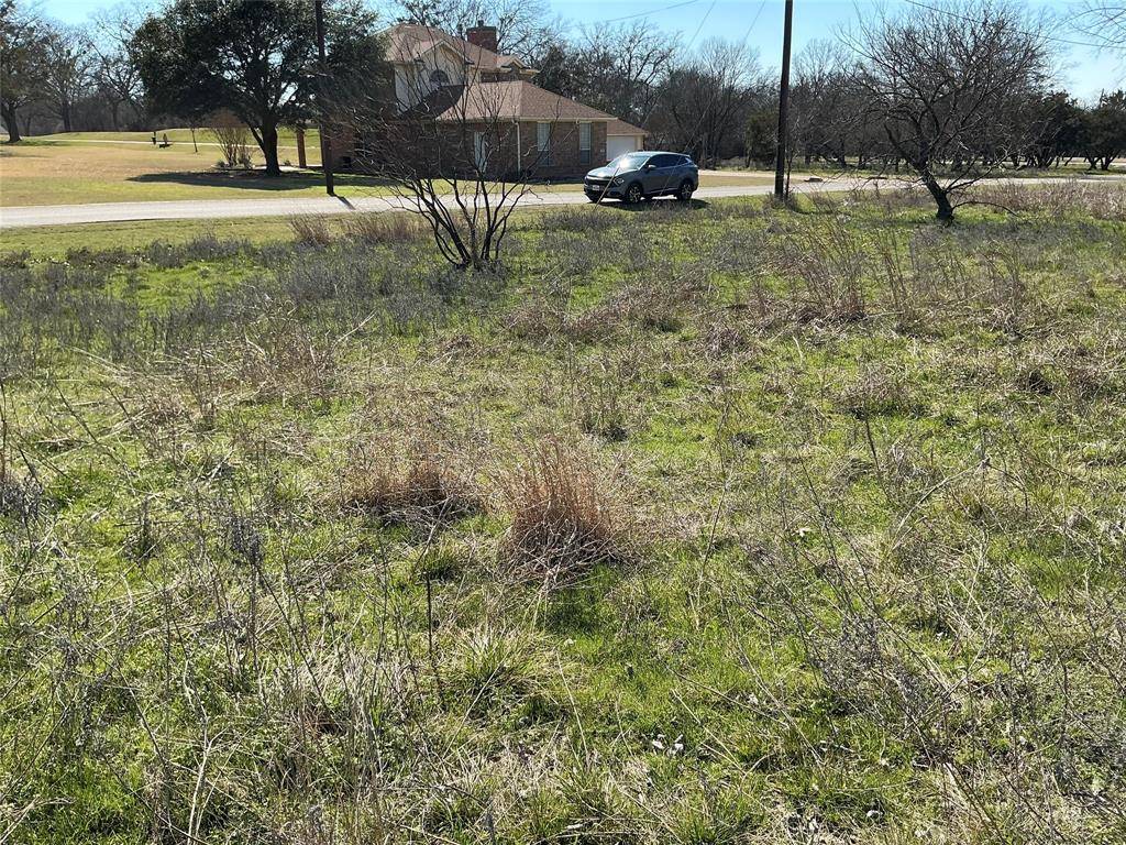 27215 Meadowmore Drive, Whitney, TX 76692