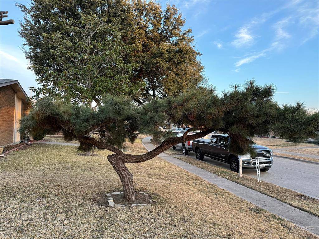 429 Hardwood Trail, Mesquite, TX 75150