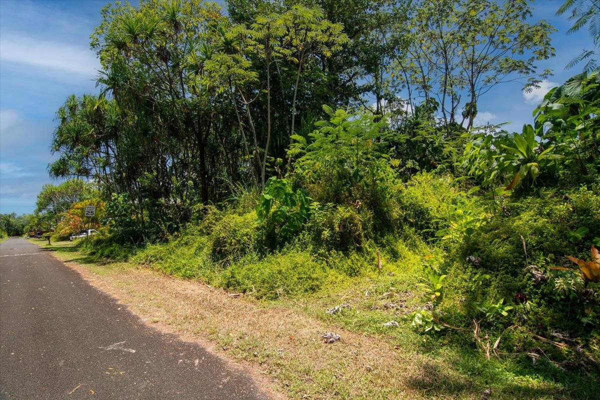 S OPAKAPAKA ST, Pahoa, HI 96778