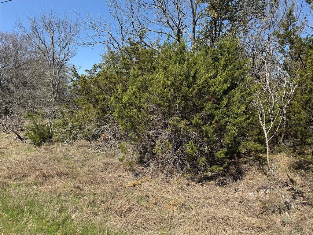 17151 Woodway Drive, Whitney, TX 76692