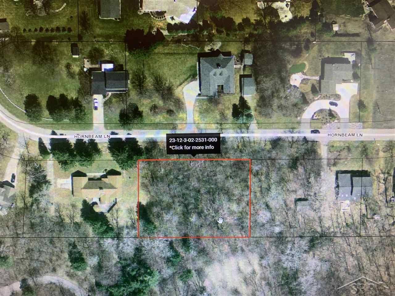 Hornbeam, Saginaw Twp, MI 48603