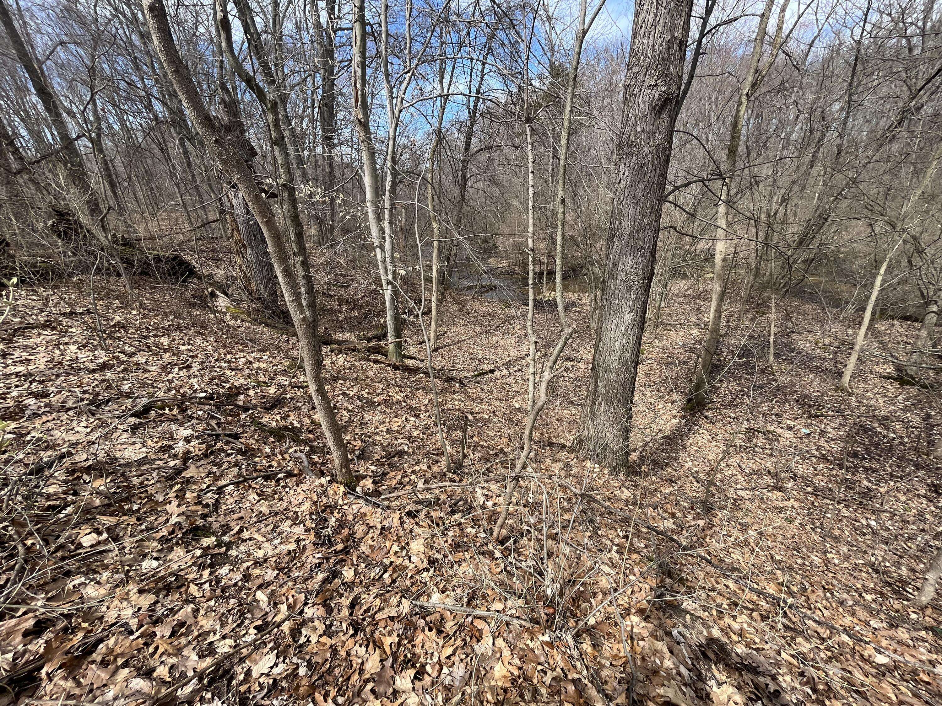 0000 66th AVE, Antwerp Twp, MI 49065