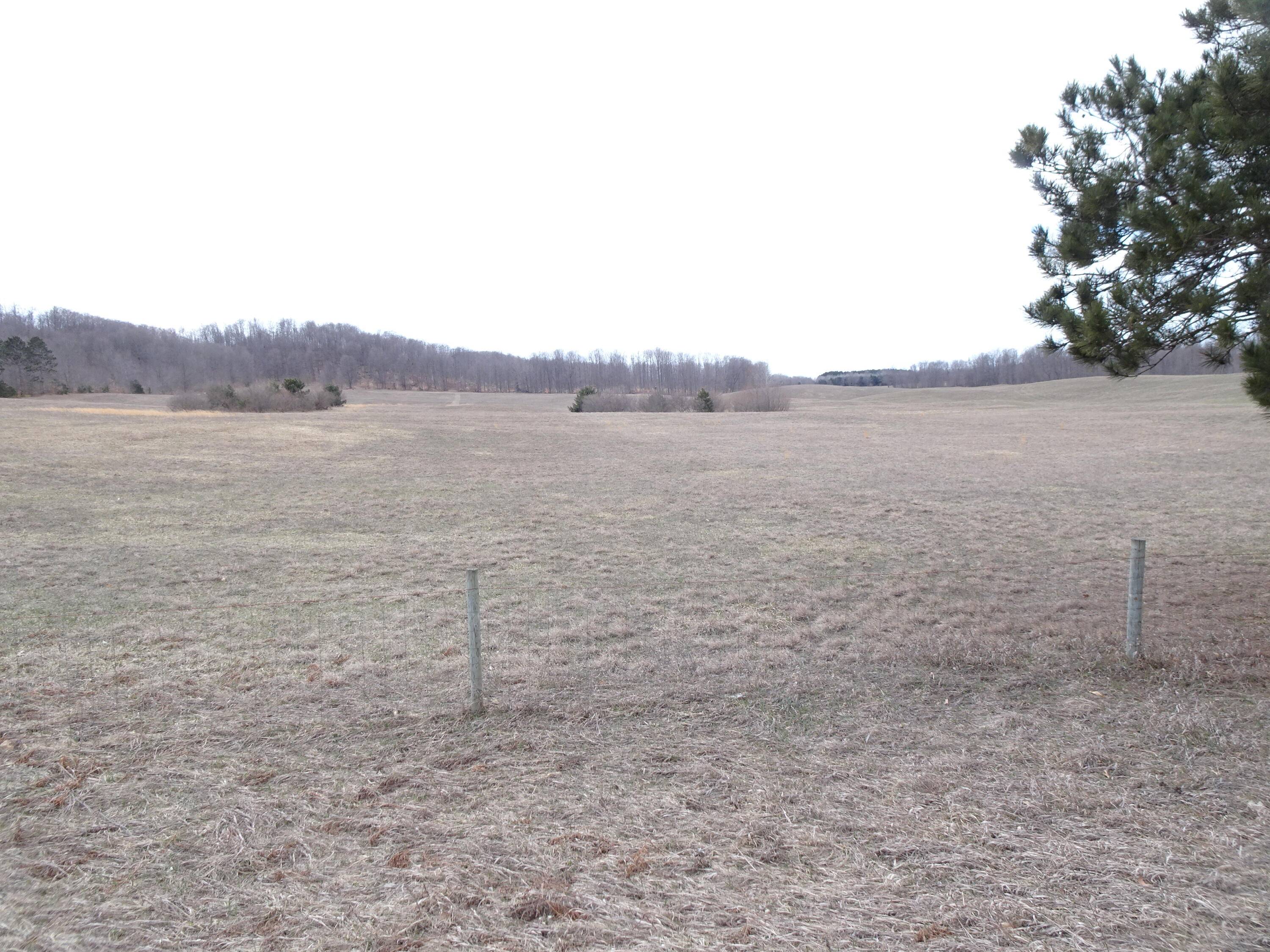 Chief ''I'' RD, Bear Lake Twp, MI 49614