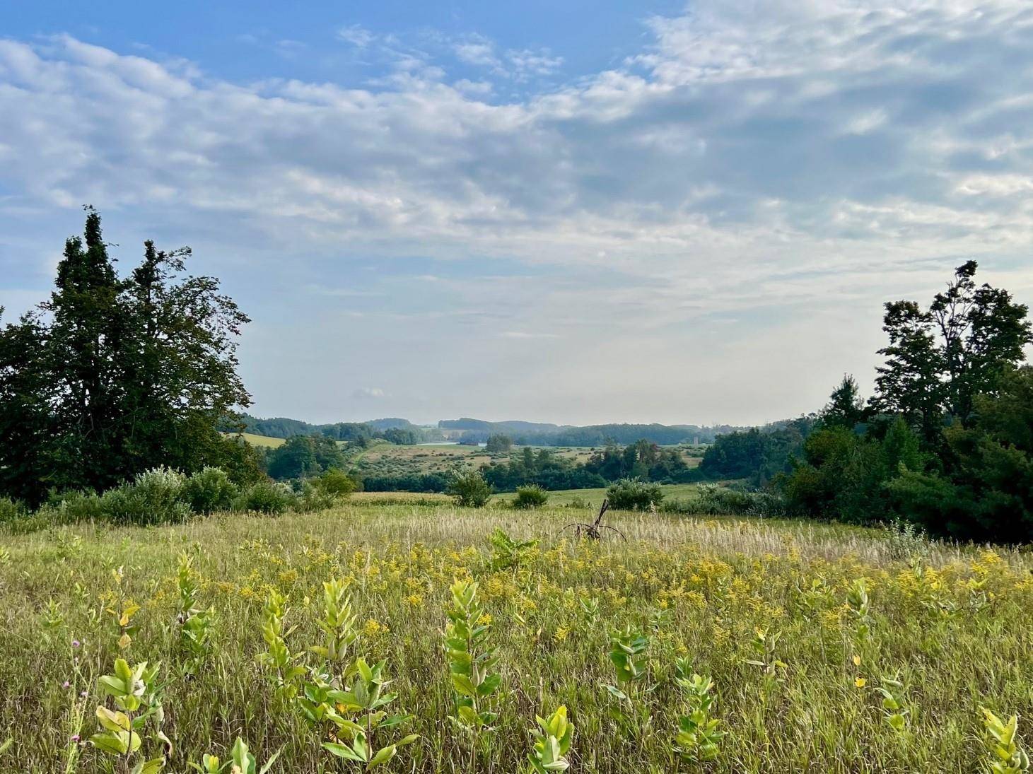 00 Skinner RD, Banks Twp, MI 49729