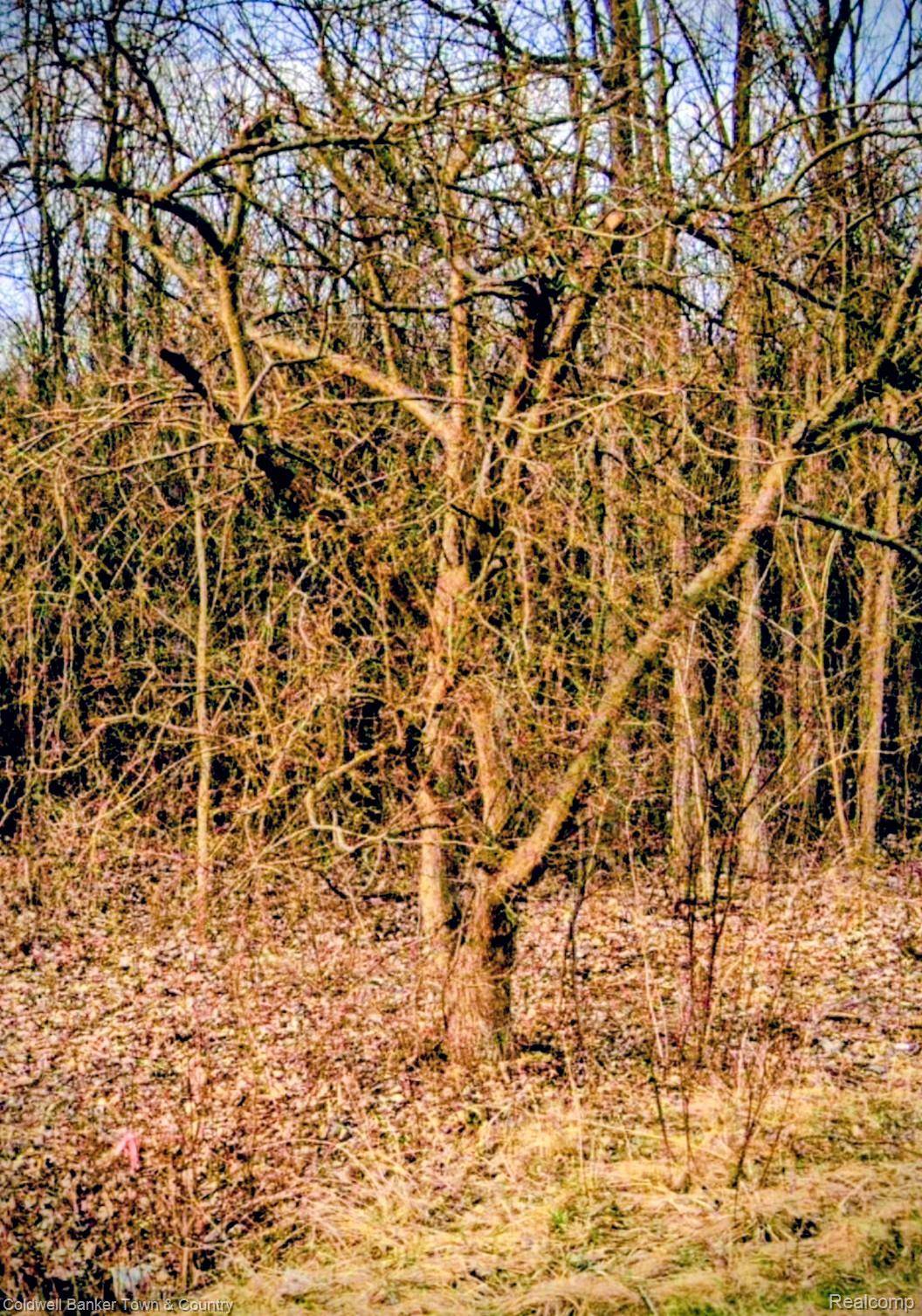 5931 N Territorial RD E, Salem Township, MI 48105