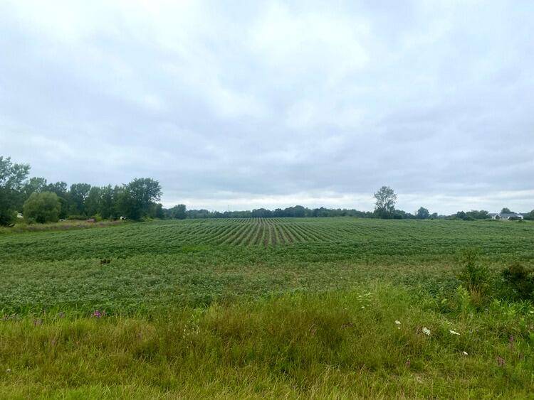 0 Byron RD, Jamestown Twp, MI 49426