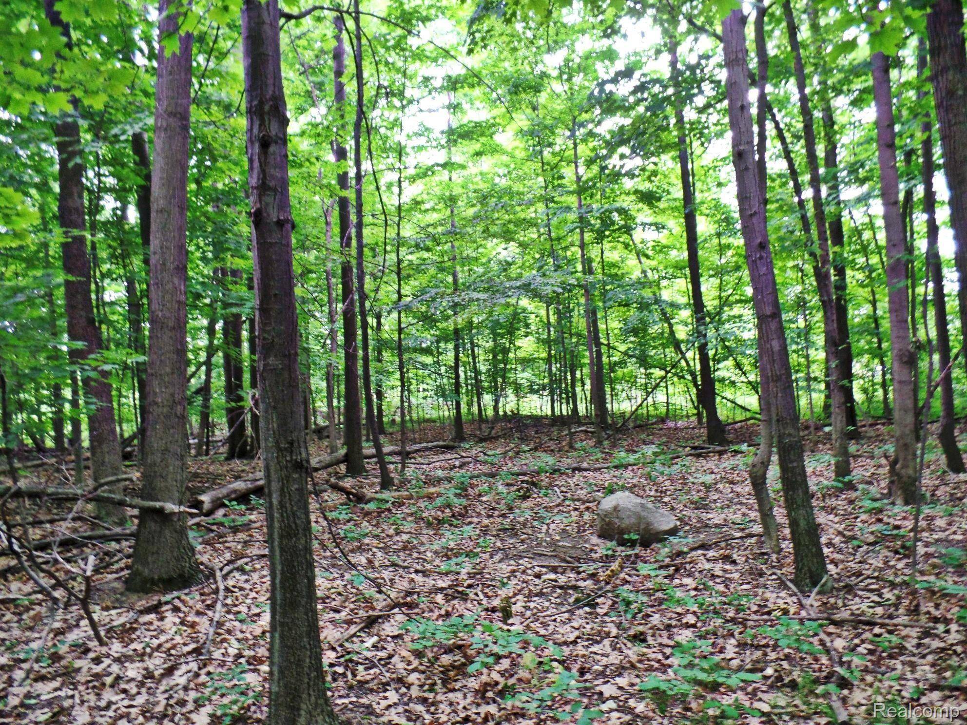 33 FOREST GATE CT, Grand Blanc Twp, MI 48439