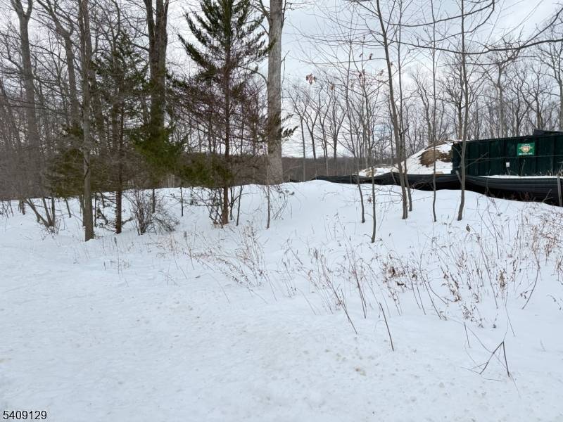 1 Bristol Ridge Rd, Boonton Twp., NJ 07005