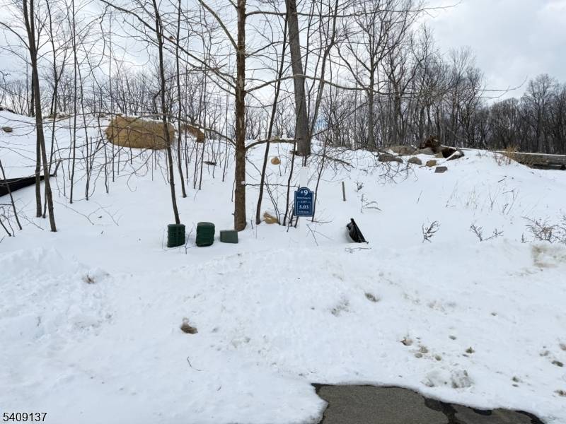 9 Bristol Ridge Rd, Boonton Twp., NJ 07005