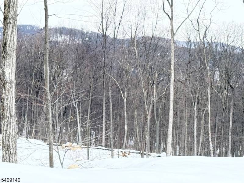 8 Bristol Ridge Rd, Boonton Twp., NJ 07005