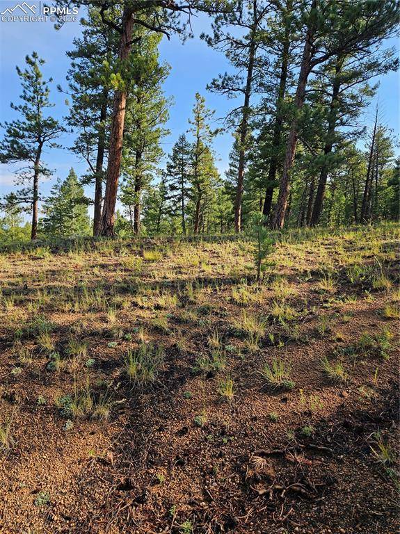 1117 Appleby DR, Sedalia, CO 80135