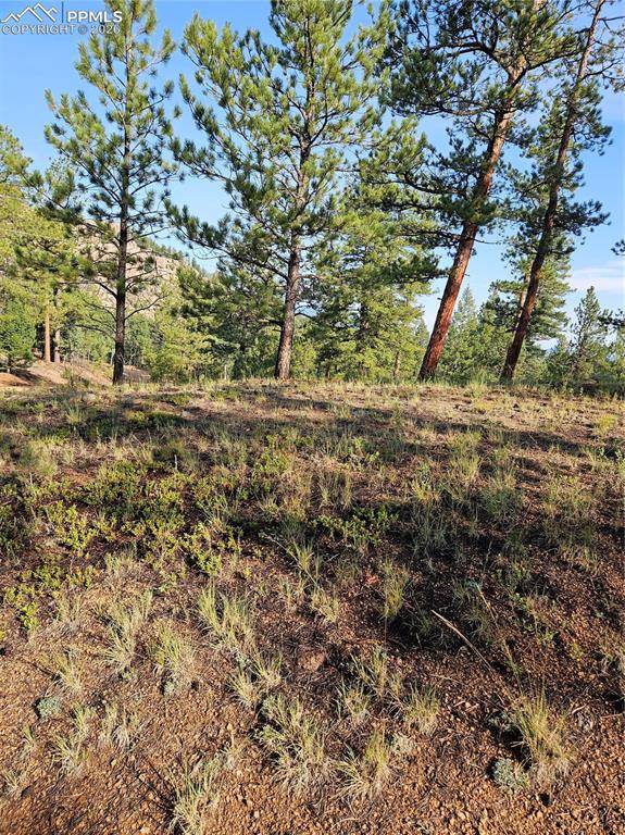 1117 Appleby DR, Sedalia, CO 80135