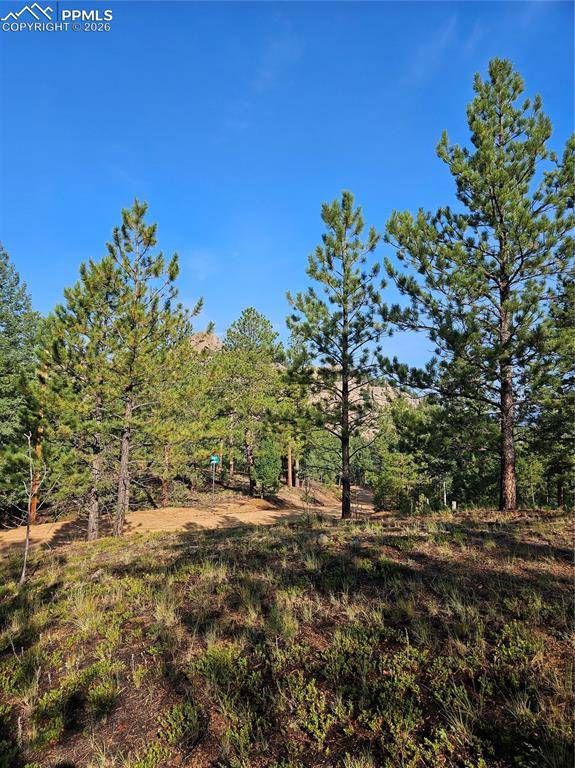 1117 Appleby DR, Sedalia, CO 80135