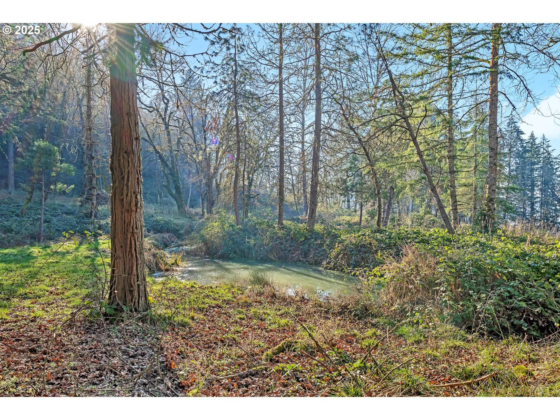 25845 GAP RD, Brownsville, OR 97327