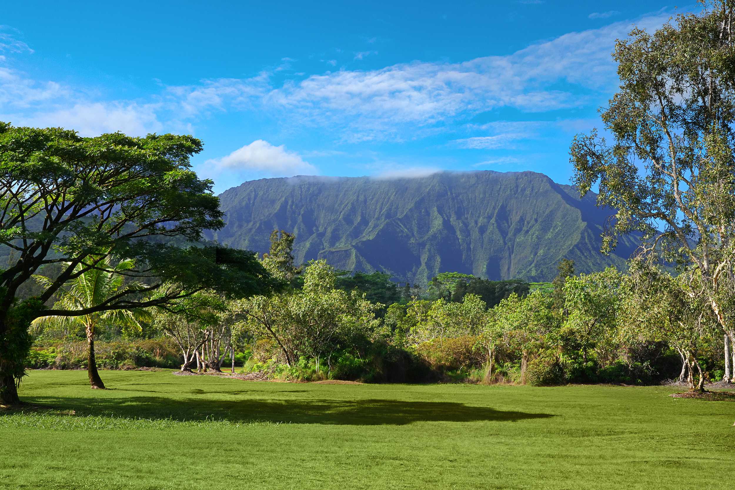 2818 KAMOOKOA RD #3, Kilauea, HI 96722