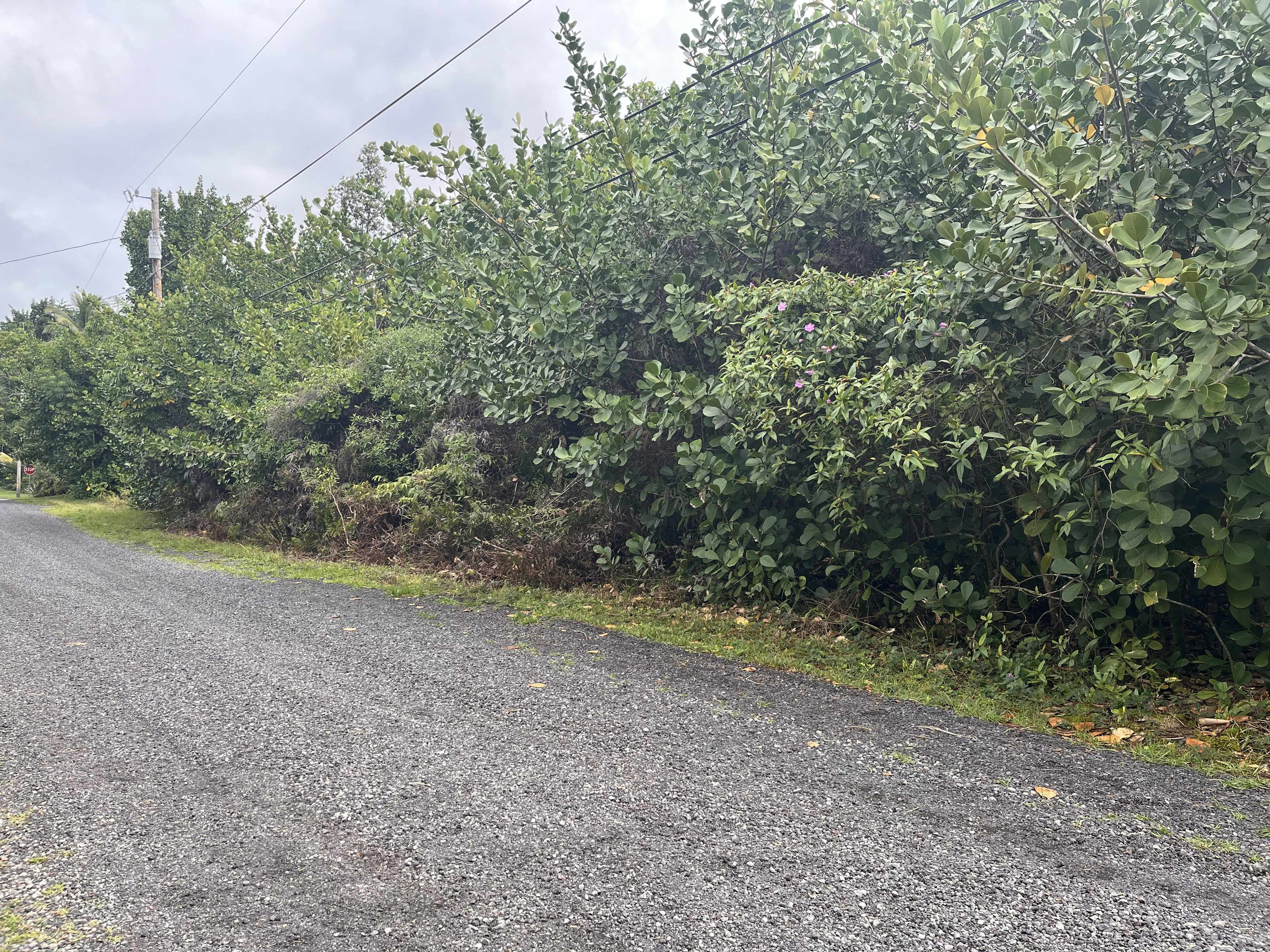 LEMIWAI RD, Keaau, HI 96749