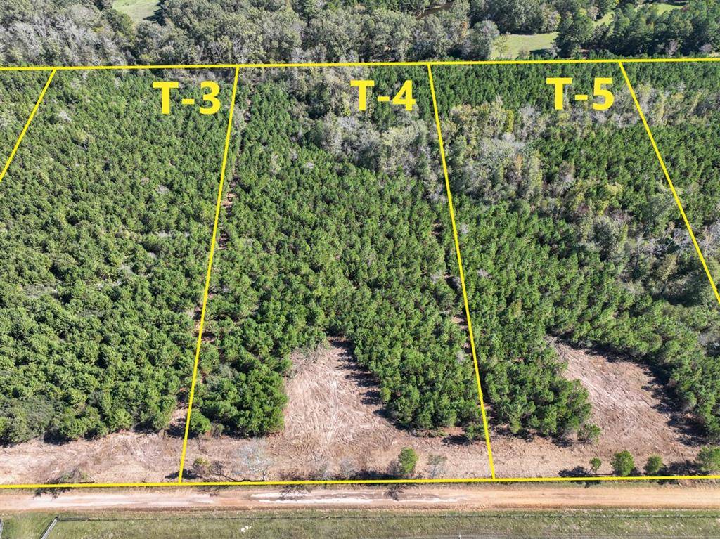 6 County Road 3121, Long Branch, TX 75669