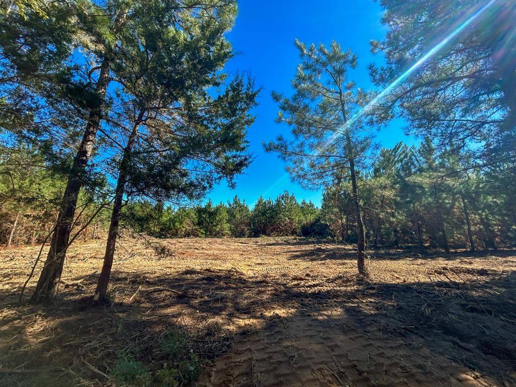 6 County Road 3121, Long Branch, TX 75669