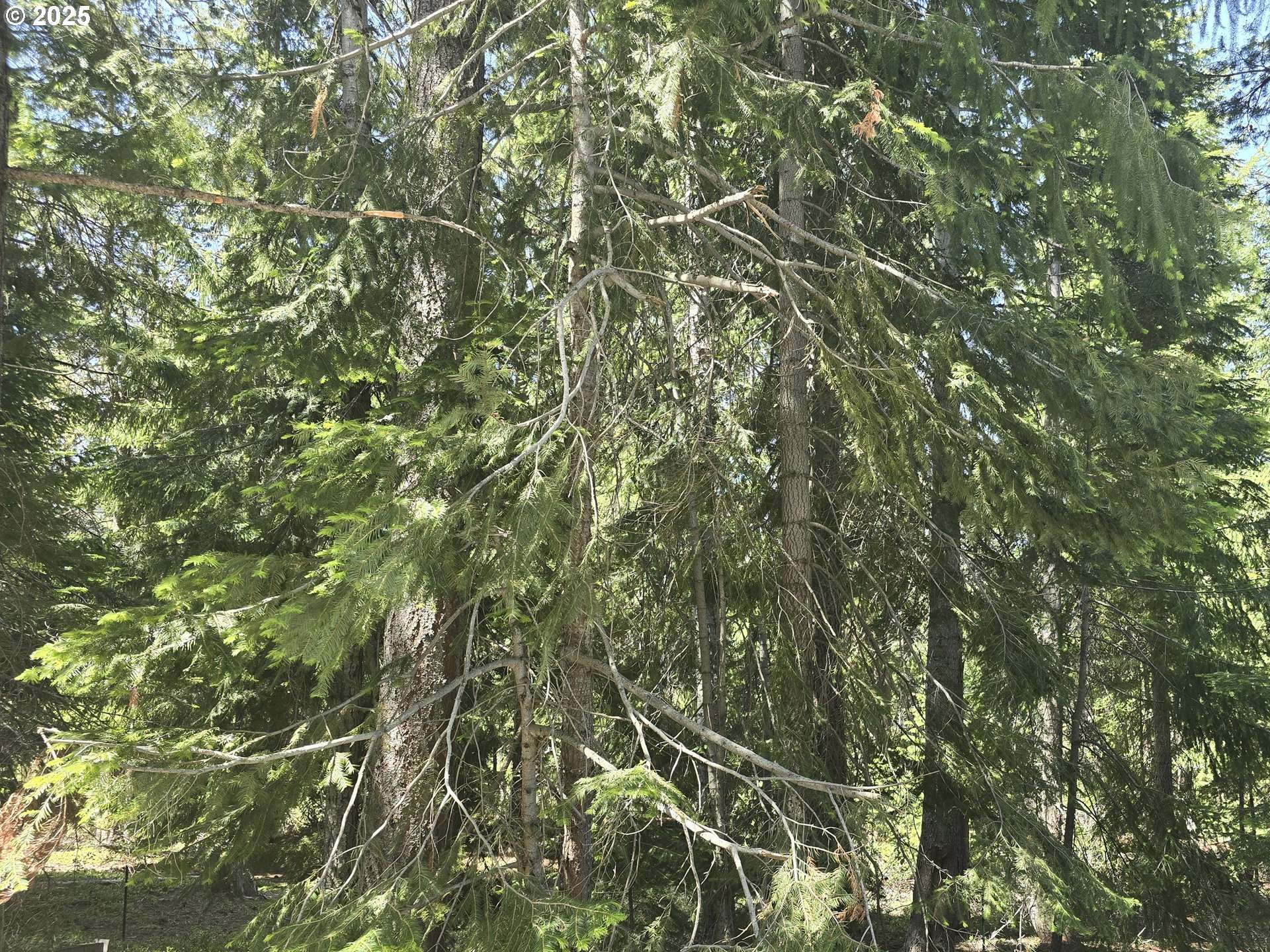 26 Diamond Peak Dr, Crescent Lake, OR 97733