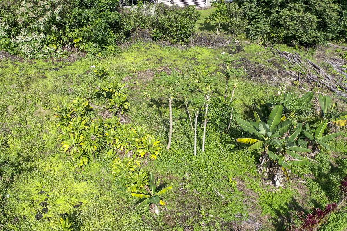560 KAUMANA DR, Hilo, HI 96720