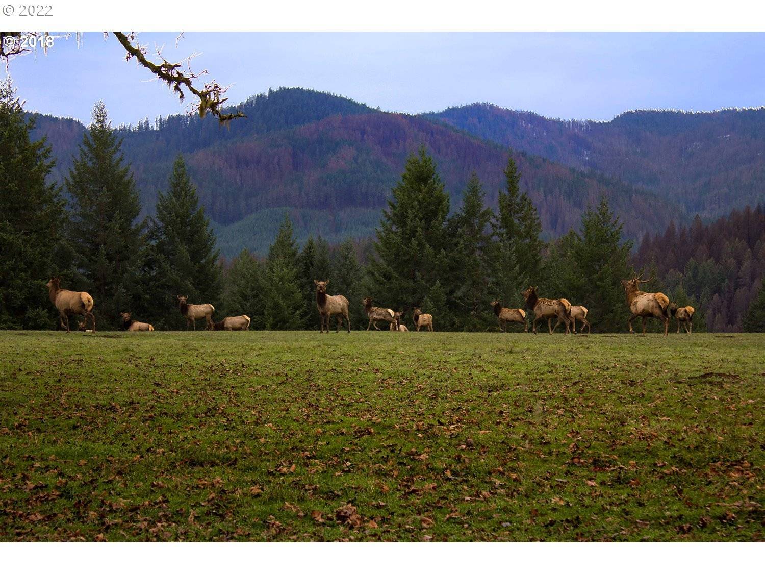 1111 ILLAHEE RD, Idleyld Park, OR 97447