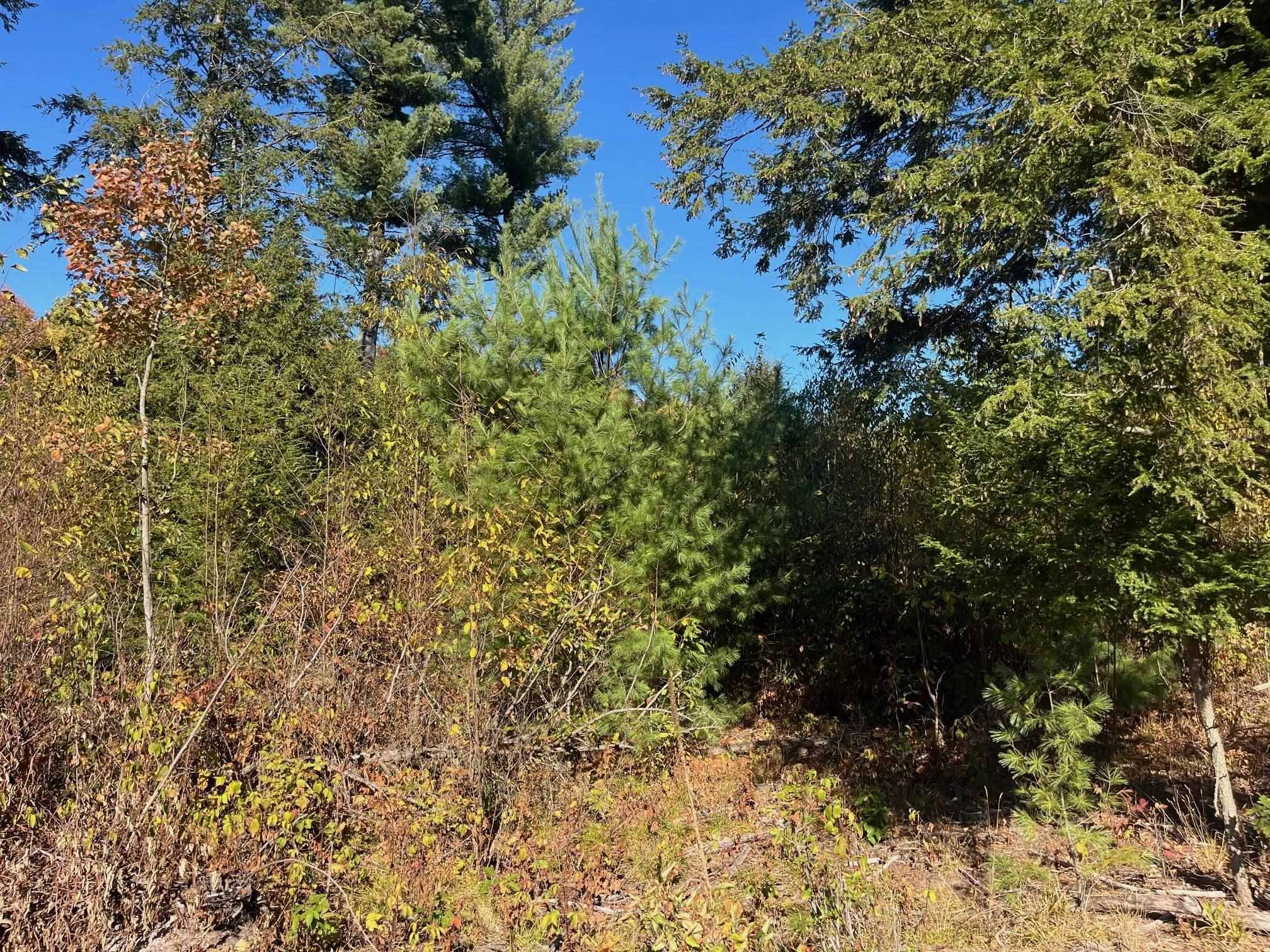 8886 Hemlock Hill DR, Long Lake Twp, MI 49685