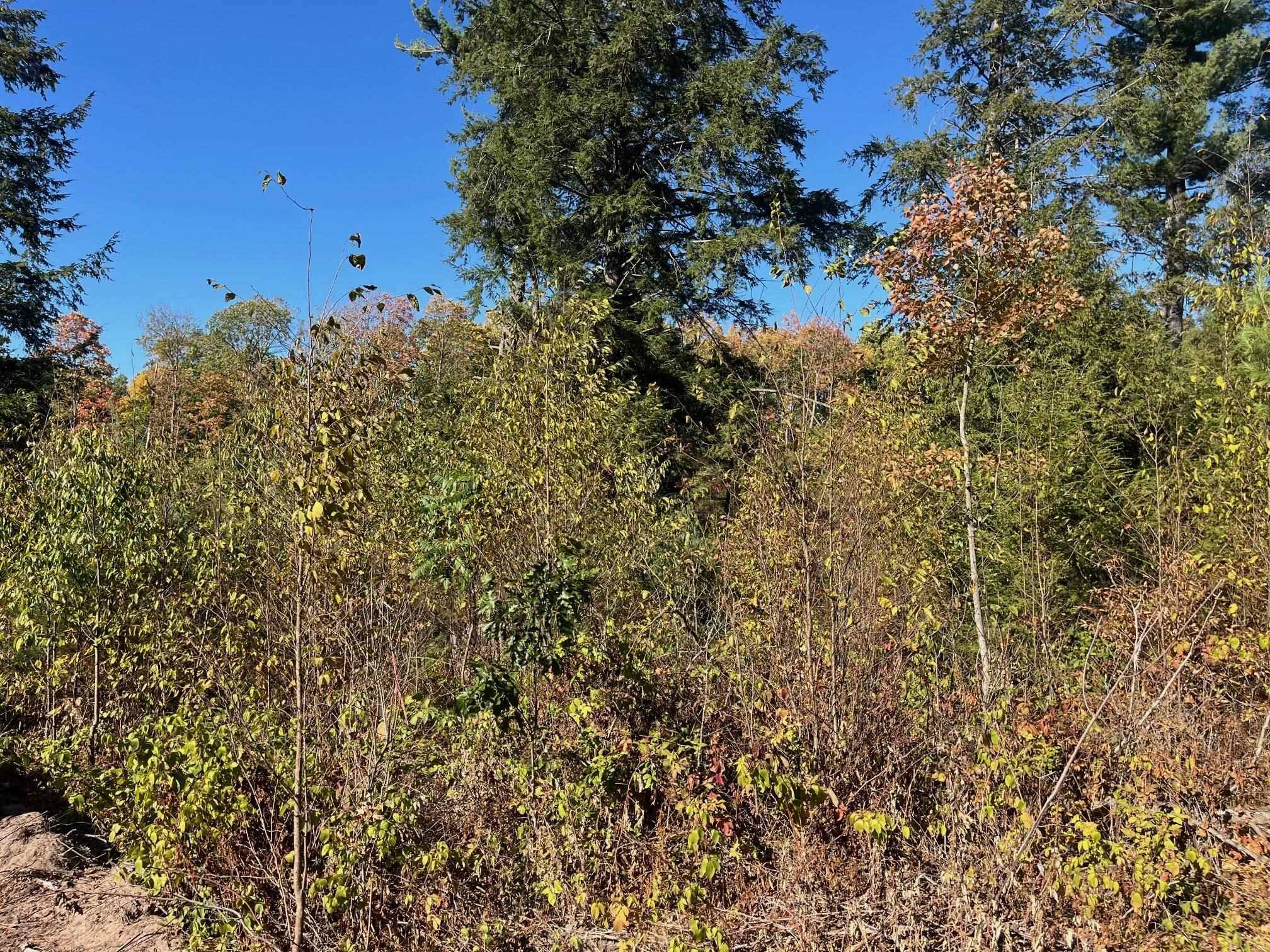 8886 Hemlock Hill DR, Long Lake Twp, MI 49685