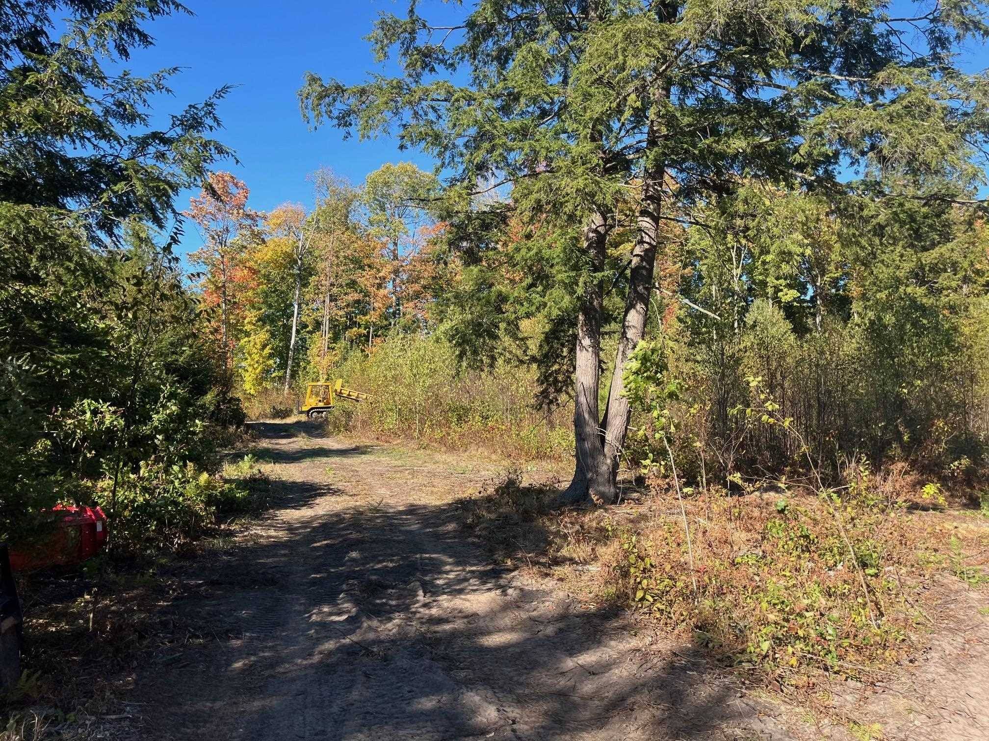 8910 Hemlock Hill DR, Long Lake Twp, MI 49685