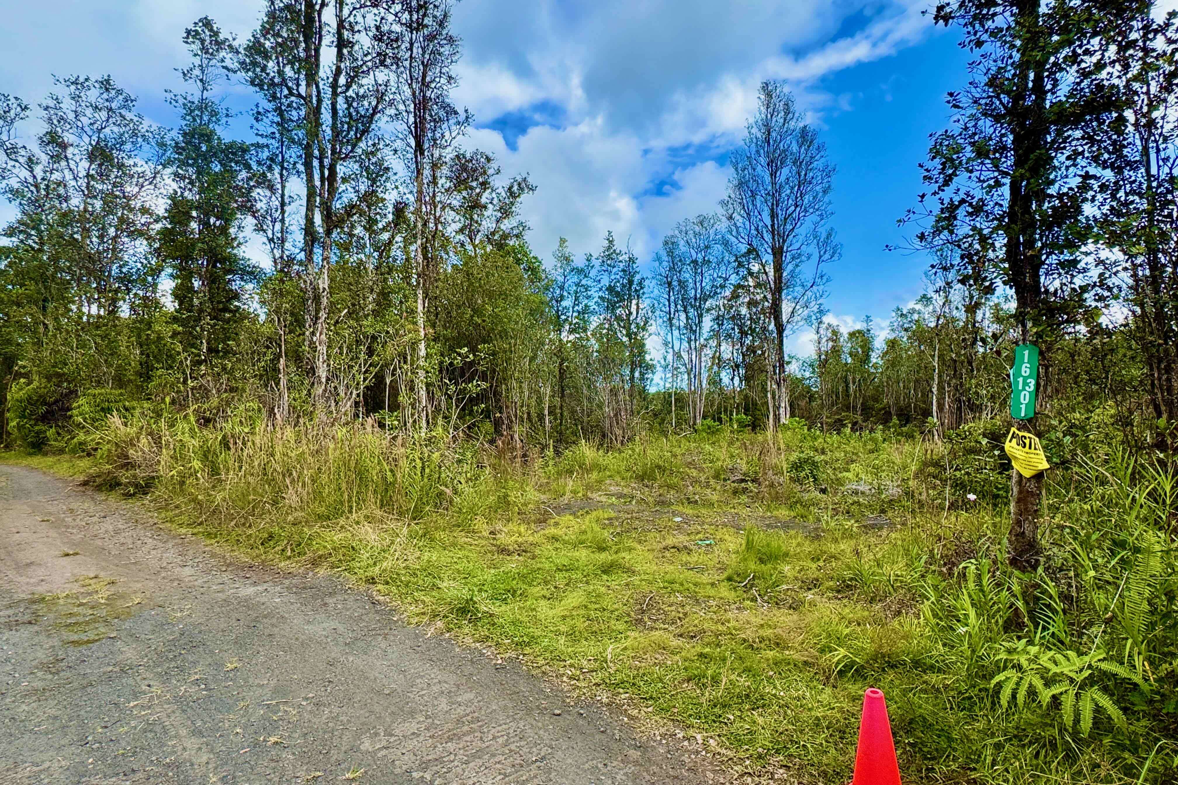 16-1301 ROAD 3 (HOPUE), Kurtistown, HI 96760