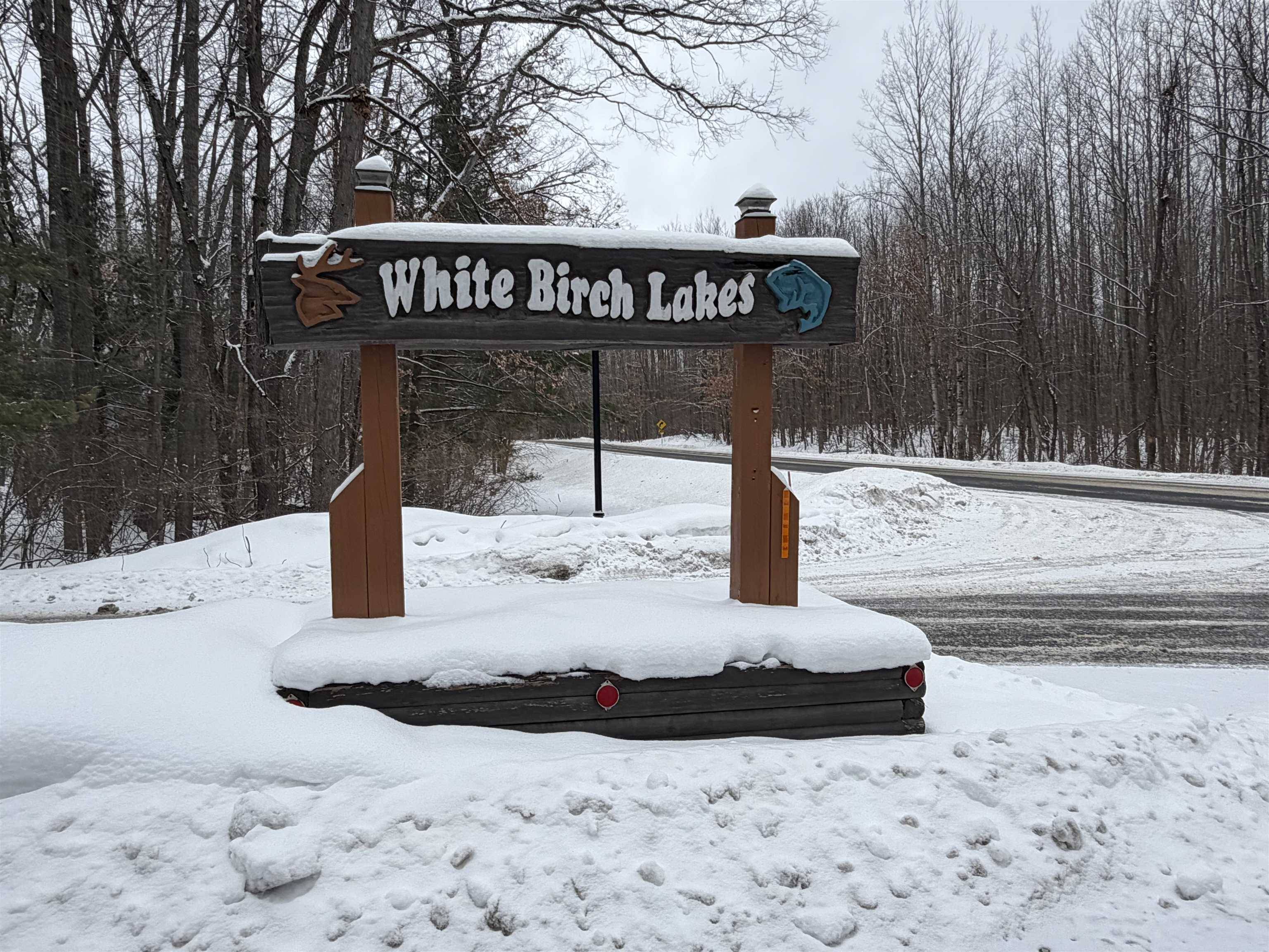 Lot 40 Squirrel RUN, Lincoln Twp, MI 48622