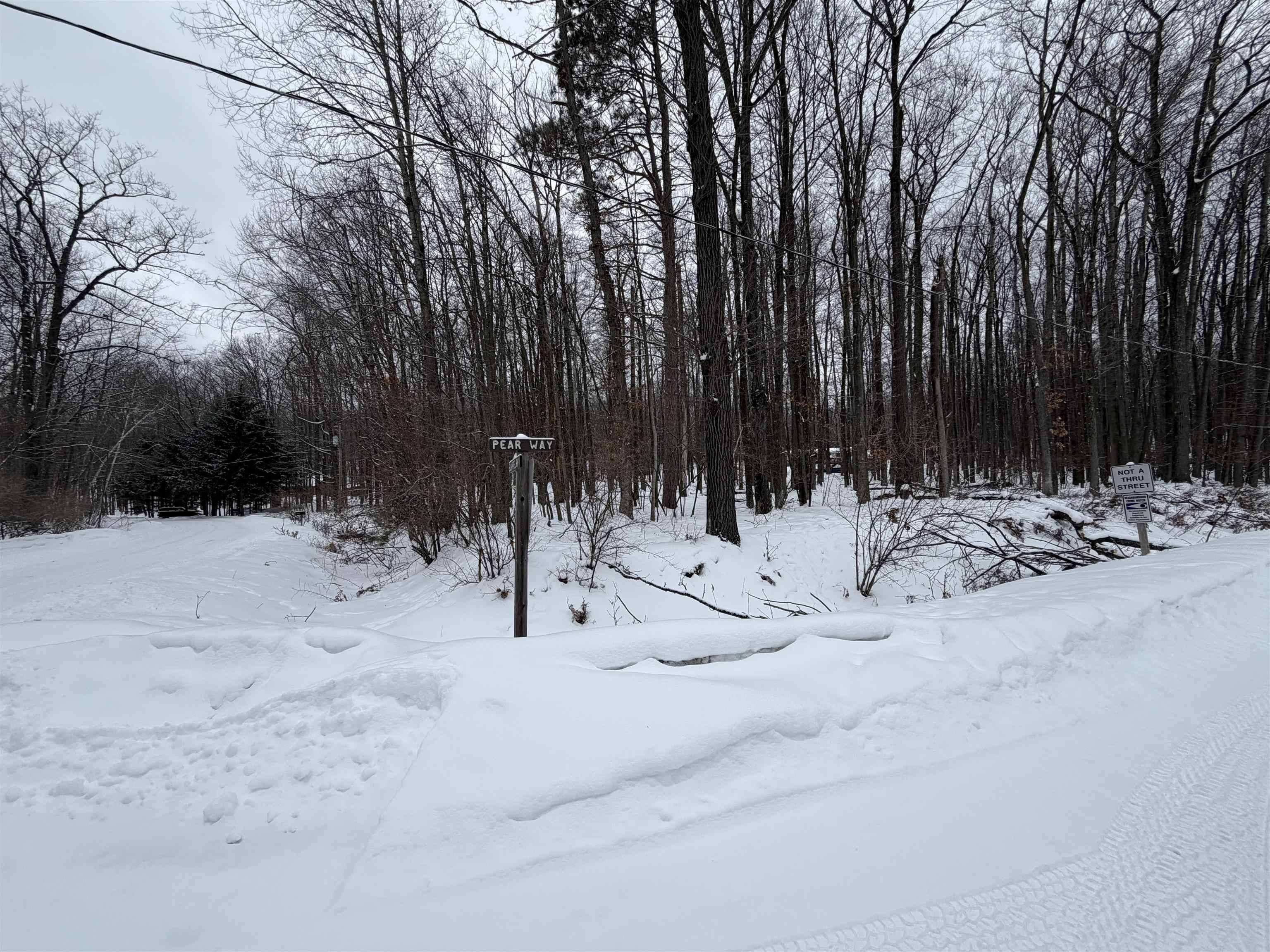Lot 40 Squirrel RUN, Lincoln Twp, MI 48622