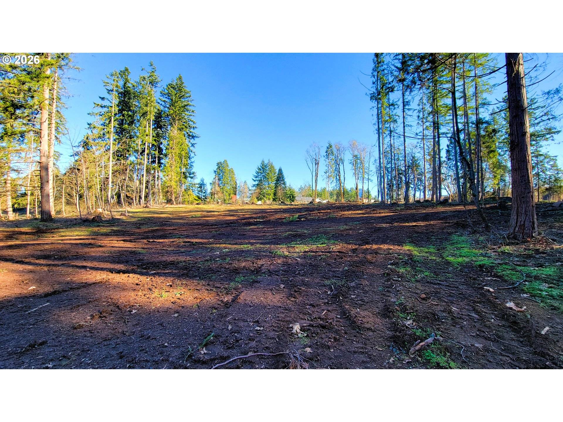 Rogers LN #2, Dexter, OR 97431