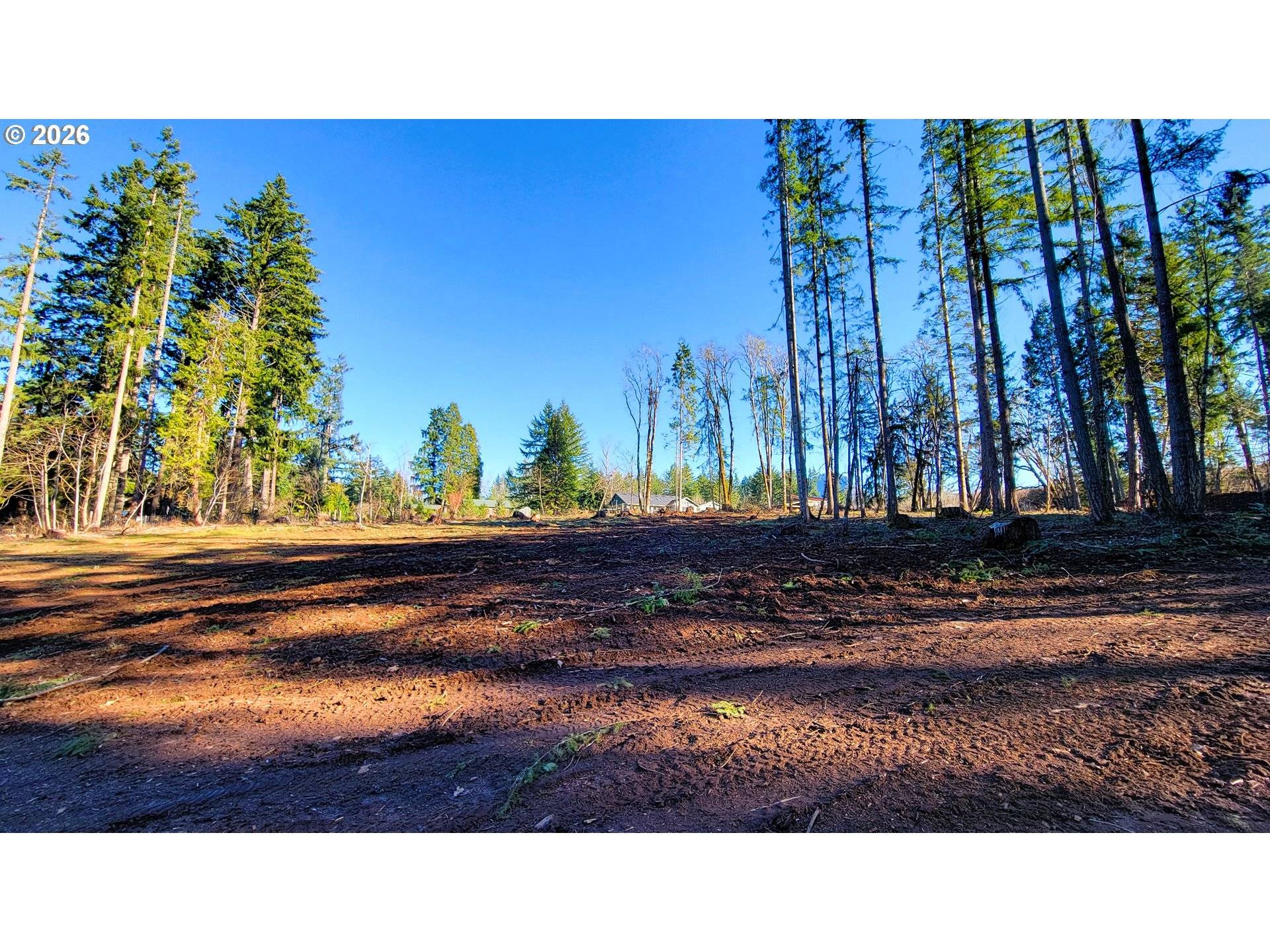 Rogers LN #2, Dexter, OR 97431