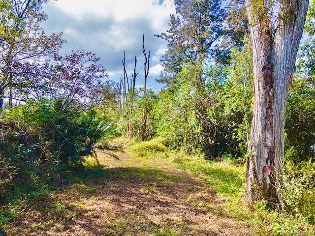 89-806 HUANUI ROAD, Captain Cook, HI 96704
