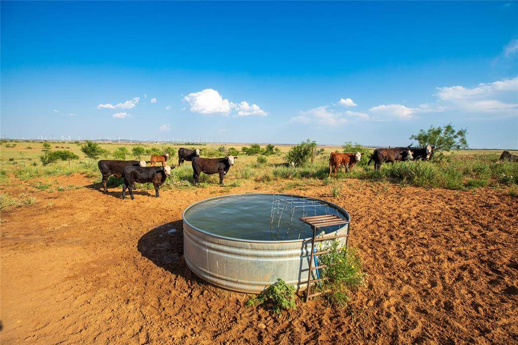 TBD County Road 458, Colorado City, TX 79512