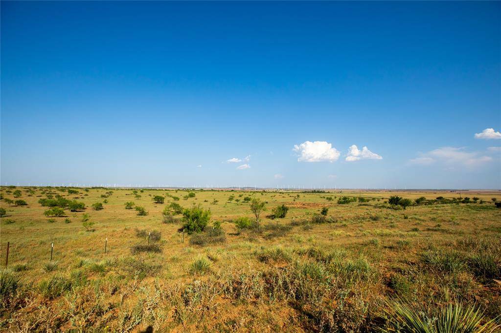 TBD County Road 458, Colorado City, TX 79512