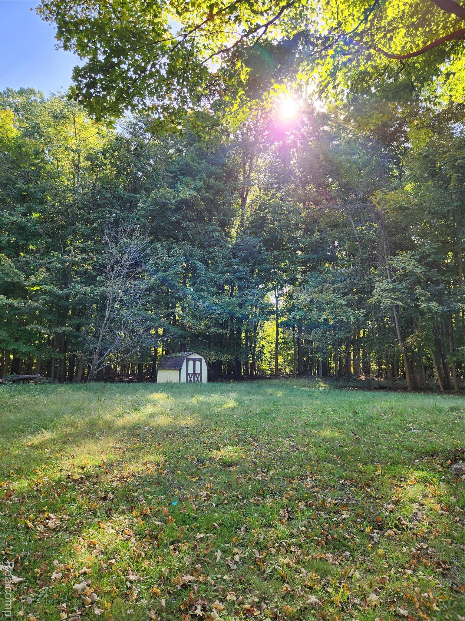 15973 Walnut ST, Buchanan Township, MI 49107