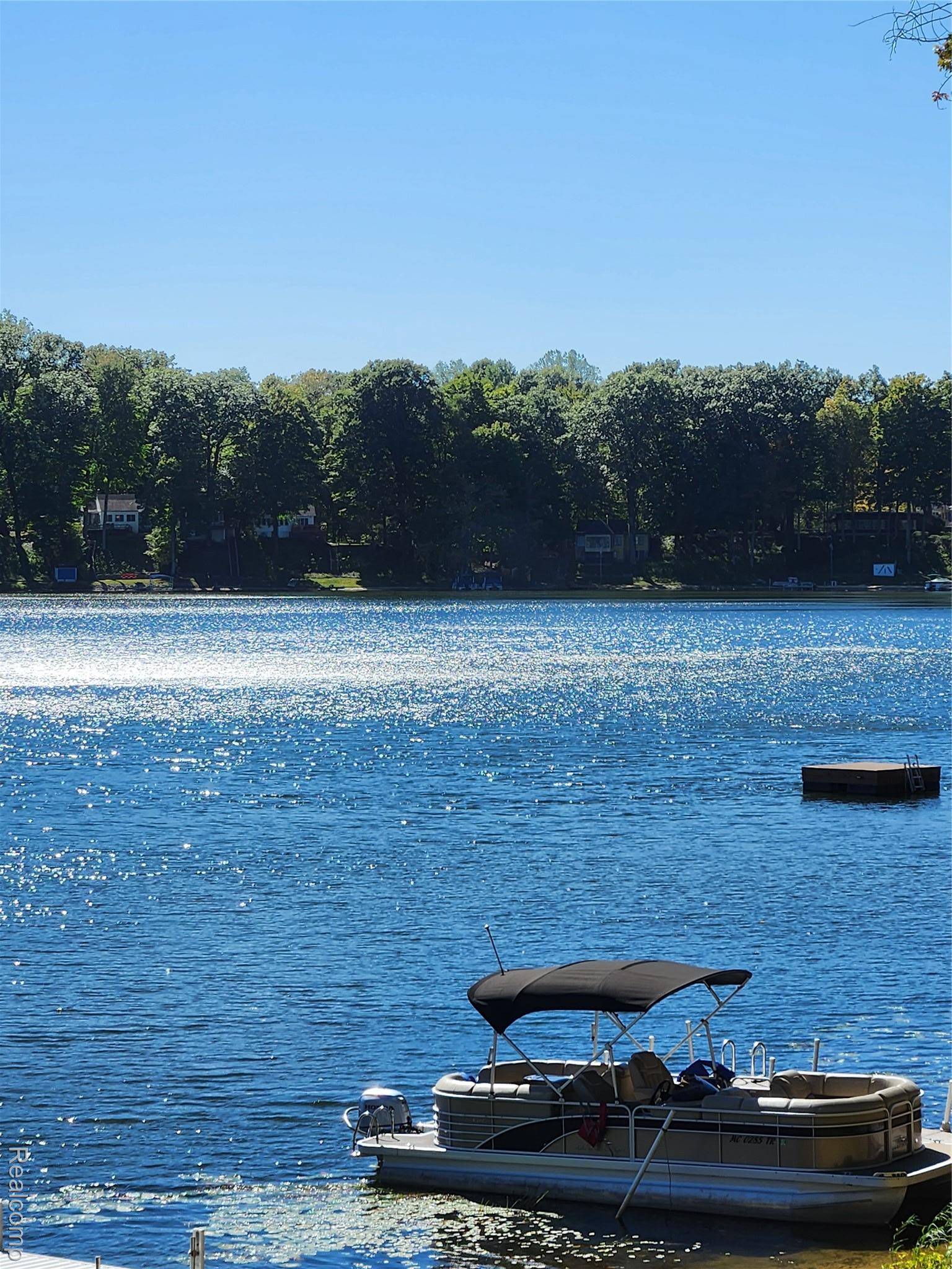 15973 Walnut ST, Buchanan Township, MI 49107