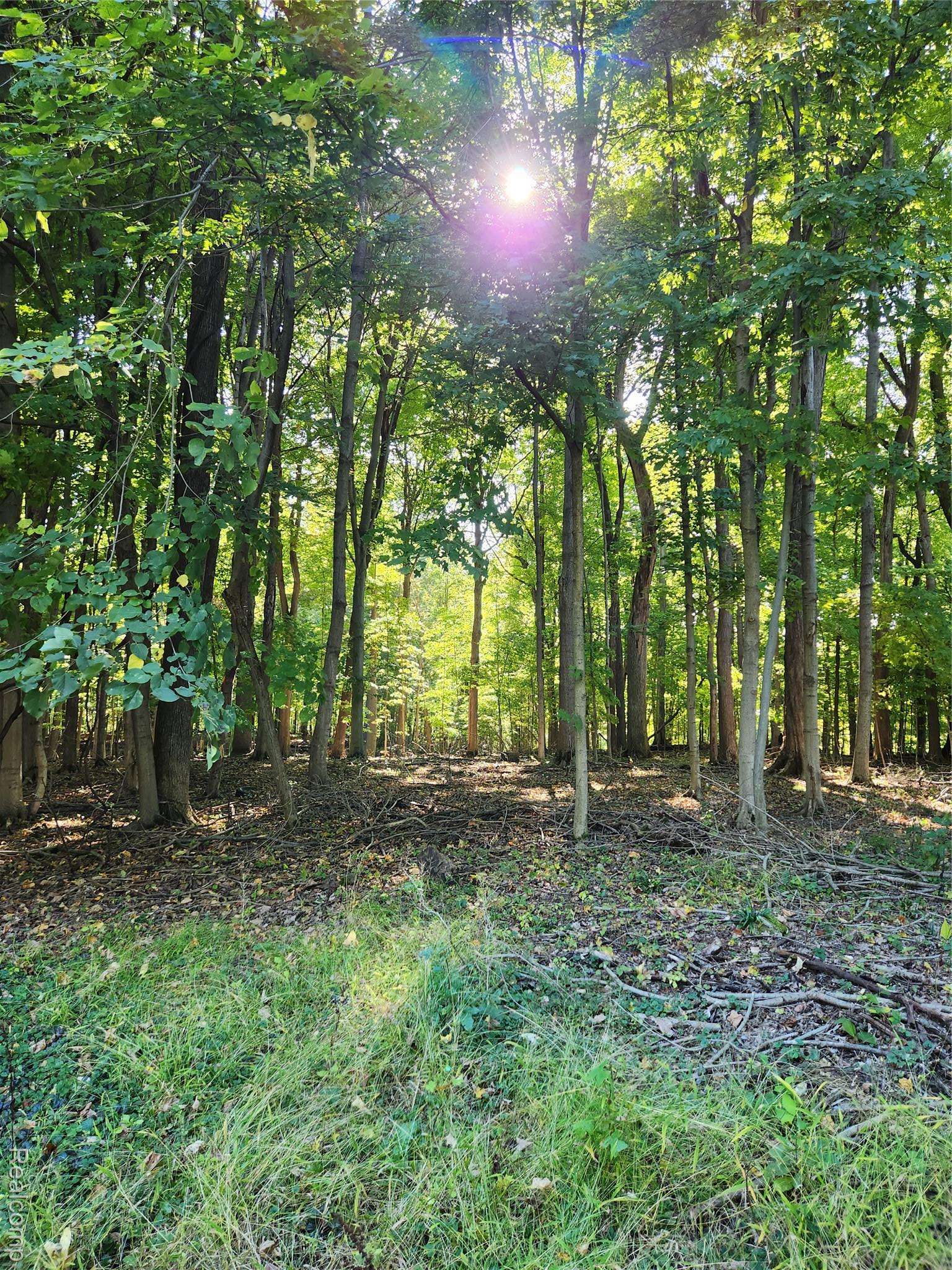 15973 Walnut ST, Buchanan Township, MI 49107